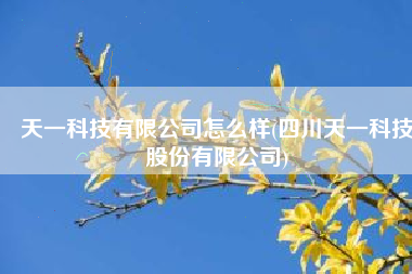 天一科技有限公司怎么样(四川天一科技股份有限公司)