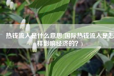 热钱流入是什么意思(国际热钱流入是怎样影响经济的？)