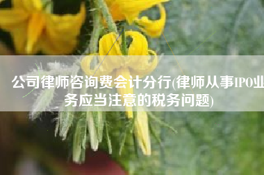 公司律师咨询费会计分行(律师从事IPO业务应当注意的税务问题)