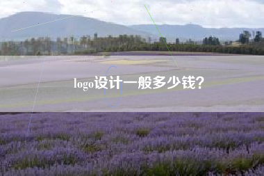 logo设计一般多少钱？