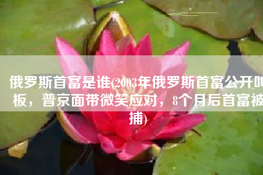 俄罗斯首富是谁(2003年俄罗斯首富公开叫板，普京面带微笑应对，8个月后首富被捕)