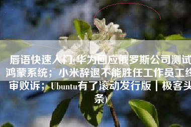 唇语快速入门(华为回应俄罗斯公司测试鸿蒙系统；小米辞退不能胜任工作员工终审败诉；Ubuntu有了滚动发行版｜极客头条)