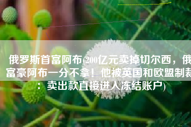 俄罗斯首富阿布(200亿元卖掉切尔西，俄富豪阿布一分不拿！他被英国和欧盟制裁：卖出款直接进入冻结账户)