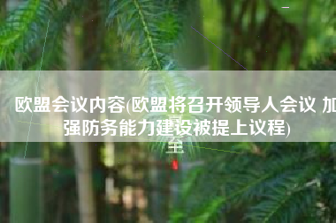 欧盟会议内容(欧盟将召开领导人会议 加强防务能力建设被提上议程)