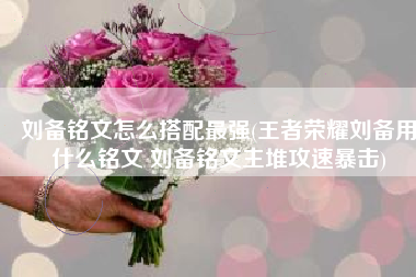 刘备铭文怎么搭配最强(王者荣耀刘备用什么铭文 刘备铭文主堆攻速暴击)