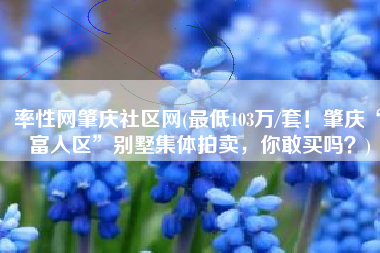 率性网肇庆社区网(最低103万/套！肇庆“富人区”别墅集体拍卖，你敢买吗？)