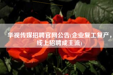 华视传媒招聘官网公告(企业复工复产，线上招聘成主流)