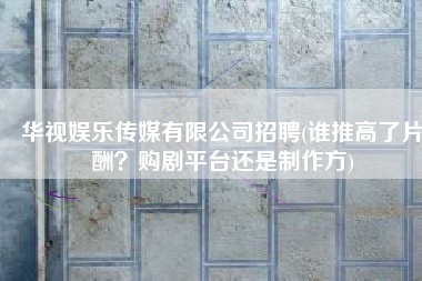 华视娱乐传媒有限公司招聘(谁推高了片酬？购剧平台还是制作方)