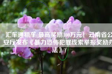 汇车通租车(最高奖励100万元！云南省公安厅发布《暴力恐怖犯罪线索举报奖励办法》)