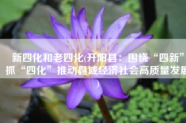 新四化和老四化(开阳县：围绕“四新”抓“四化”推动县域经济社会高质量发展)
