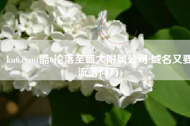 ku6.com(酷6沦落至盛大附属公司 域名又要流落何方)