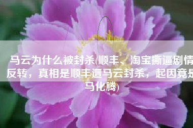 马云为什么被封杀(顺丰、淘宝撕逼剧情反转，真相是顺丰遭马云封杀，起因竟是马化腾)