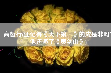 高哲行(还记得《天下第一》的成是非吗？他还演了《灵剑山》)