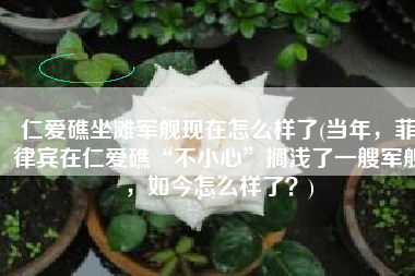 仁爱礁坐滩军舰现在怎么样了(当年，菲律宾在仁爱礁“不小心”搁浅了一艘军舰，如今怎么样了？)