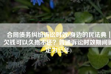 合同债务纠纷诉讼时效(身边的民法典｜欠钱可以久拖不还？普通诉讼时效期间确定为三年)