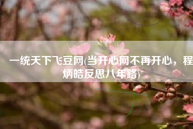 一统天下飞豆网(当开心网不再开心，程炳皓反思八年路)