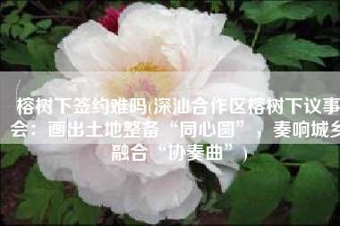 榕树下签约难吗(深汕合作区榕树下议事会：画出土地整备“同心圆”，奏响城乡融合“协奏曲”)