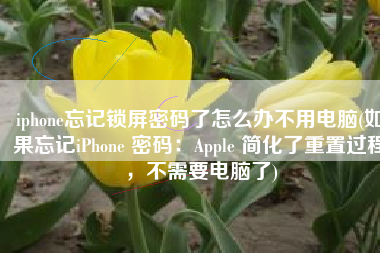 iphone忘记锁屏密码了怎么办不用电脑(如果忘记iPhone 密码：Apple 简化了重置过程，不需要电脑了)