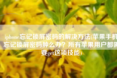 iphone忘记锁屏密码的解决方法(苹果手机忘记锁屏密码肿么办？所有苹果用户都需要get这项技能)