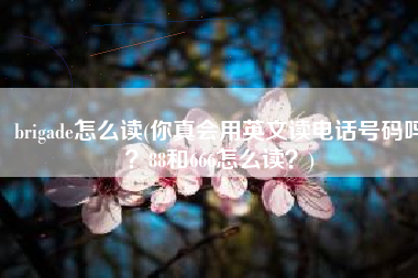 brigade怎么读(你真会用英文读电话号码吗？88和666怎么读？)