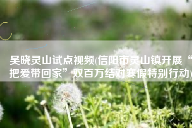 吴晓灵山试点视频(信阳市灵山镇开展“把爱带回家”双百万结对寒假特别行动)