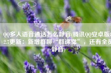 QQ多人语音通话怎么静音(腾讯QQ安卓版8.2.7更新：新增群聊“群课堂”，还有全员静音)