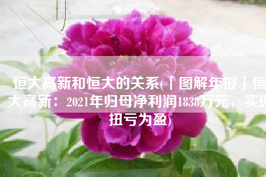 恒大高新和恒大的关系(「图解年报」恒大高新：2021年归母净利润1838万元，实现扭亏为盈)