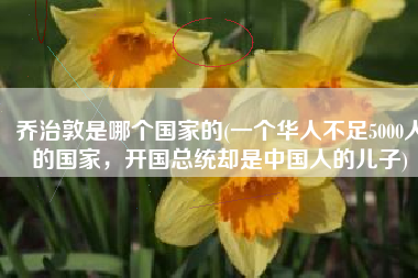 乔治敦是哪个国家的(一个华人不足5000人的国家，开国总统却是中国人的儿子)