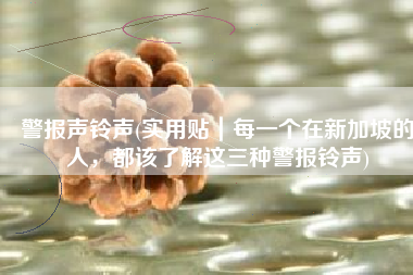 警报声铃声(实用贴｜每一个在新加坡的人，都该了解这三种警报铃声)