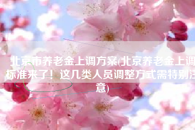 北京市养老金上调方案(北京养老金上调标准来了！这几类人员调整方式需特别注意)