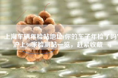 上海车辆年检站地址(你的车子年检了吗？沪上96家检测站一览，赶紧收藏→)