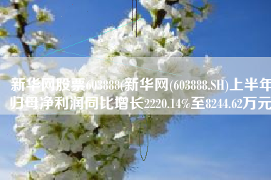 新华网股票603888(新华网(603888.SH)上半年归母净利润同比增长2220.14%至8244.62万元)