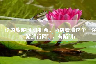 途游旅游网(订机票、酒店看清这个“途游旅行网”，有陷阱)