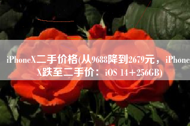 iPhoneX二手价格(从9688降到2679元，iPhone X跌至二手价：iOS 14+256GB)