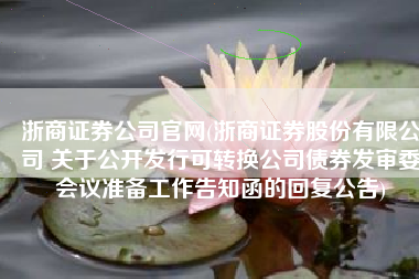 浙商证券公司官网(浙商证券股份有限公司 关于公开发行可转换公司债券发审委会议准备工作告知函的回复公告)