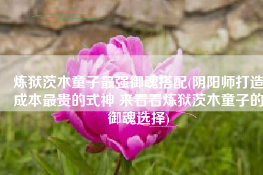 炼狱茨木童子最强御魂搭配(阴阳师打造成本最贵的式神 来看看炼狱茨木童子的御魂选择)