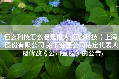 恒玄科技怎么老是招人(恒玄科技（上海）股份有限公司 关于变更公司法定代表人 及修改《公司章程》的公告)