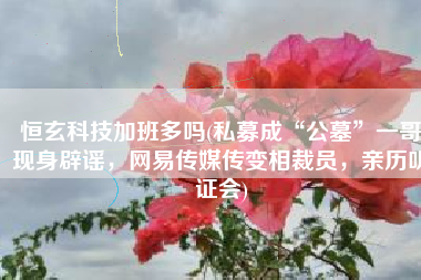 恒玄科技加班多吗(私募成“公墓”一哥现身辟谣，网易传媒传变相裁员，亲历听证会)