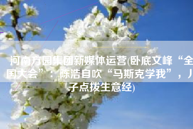 河南方园集团新媒体运营(卧底文峰“全国大会”：陈浩自吹“马斯克学我”，儿子点拨生意经)