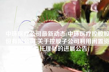 中珠医疗公司最新动态(中珠医疗控股股份有限公司 关于控股子公司利用闲置资金 委托理财的进展公告)