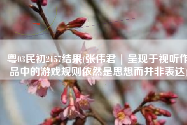 粤03民初2157结果(张伟君 | 呈现于视听作品中的游戏规则依然是思想而并非表达)