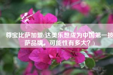 尊宝比萨加盟(达美乐想成为中国第一披萨品牌，可能性有多大？)