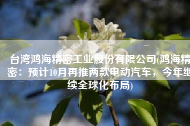 台湾鸿海精密工业股份有限公司(鸿海精密：预计10月再推两款电动汽车，今年继续全球化布局)