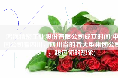 鸿海精密工业股份有限公司成立时间(中国公司看四川，四川省的特大型集团公司有多牛，超过你的想象)