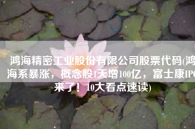 鸿海精密工业股份有限公司股票代码(鸿海系暴涨，概念股1天增100亿，富士康IPO来了！10大看点速读)