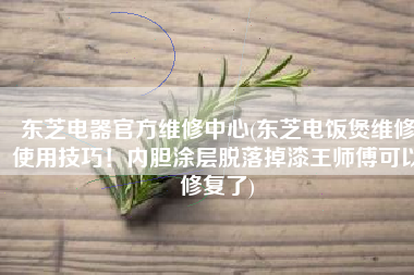 东芝电器官方维修中心(东芝电饭煲维修使用技巧！内胆涂层脱落掉漆王师傅可以修复了)