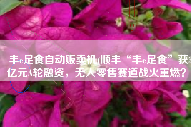 丰e足食自动贩卖机(顺丰“丰e足食”获3亿元A轮融资，无人零售赛道战火重燃？)