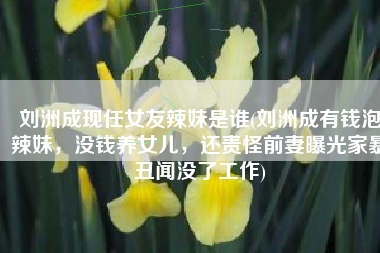 刘洲成现任女友辣妹是谁(刘洲成有钱泡辣妹，没钱养女儿，还责怪前妻曝光家暴丑闻没了工作)