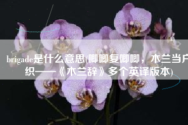 brigade是什么意思(唧唧复唧唧，木兰当户织——《木兰辞》多个英译版本)