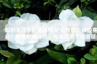 暗影主教本尼迪塔斯(炉石传说：被迫赛马？暗牧极限快攻，专克任务术吸血瞎)